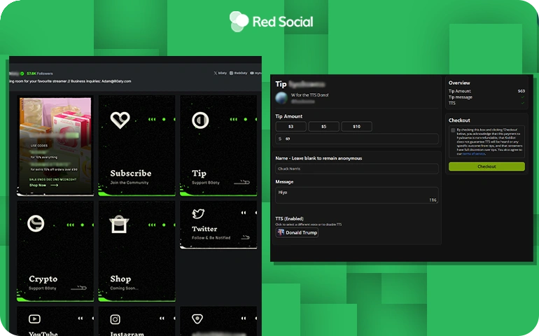 Donation and tip interface on a streamer’s Kick page.